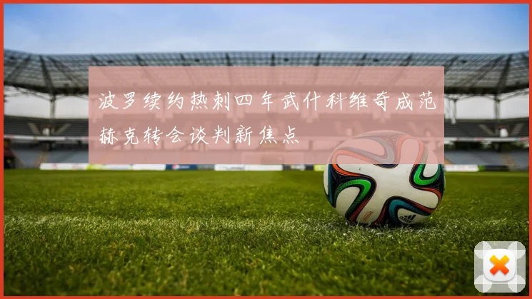 波罗续约热刺四年武什科维奇成范赫克转会谈判新焦点