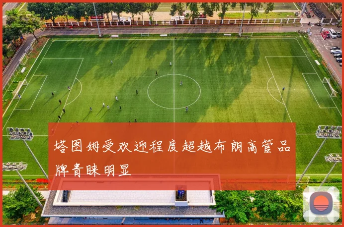 塔图姆受欢迎程度超越布朗高管品牌青睐明显