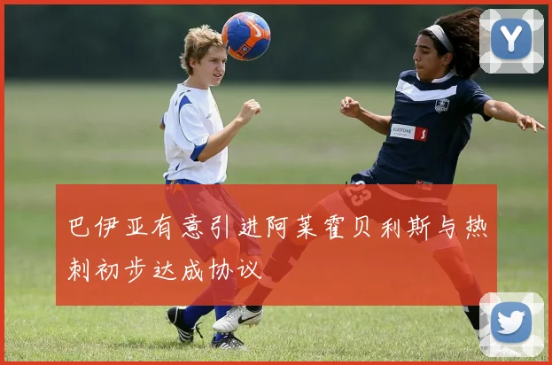 巴伊亚有意引进阿莱霍贝利斯与热刺初步达成协议